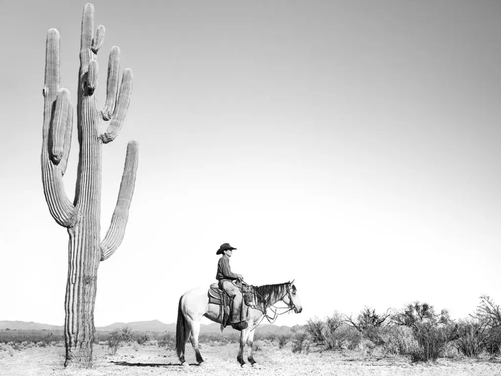 "Saguaro" by Anouk Krantz  (Photo by Thomas Garza Photography)