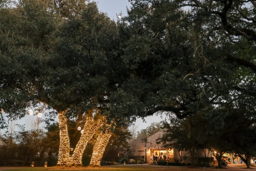 The Clubs at Houston Oaks dressed for the holidays (Photo by Priscilla Dickson)
