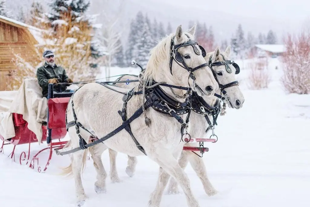 Sleigh ride in Big Sky Montana. (courtesy Lone Mountain Ranch/Doug Loneman)