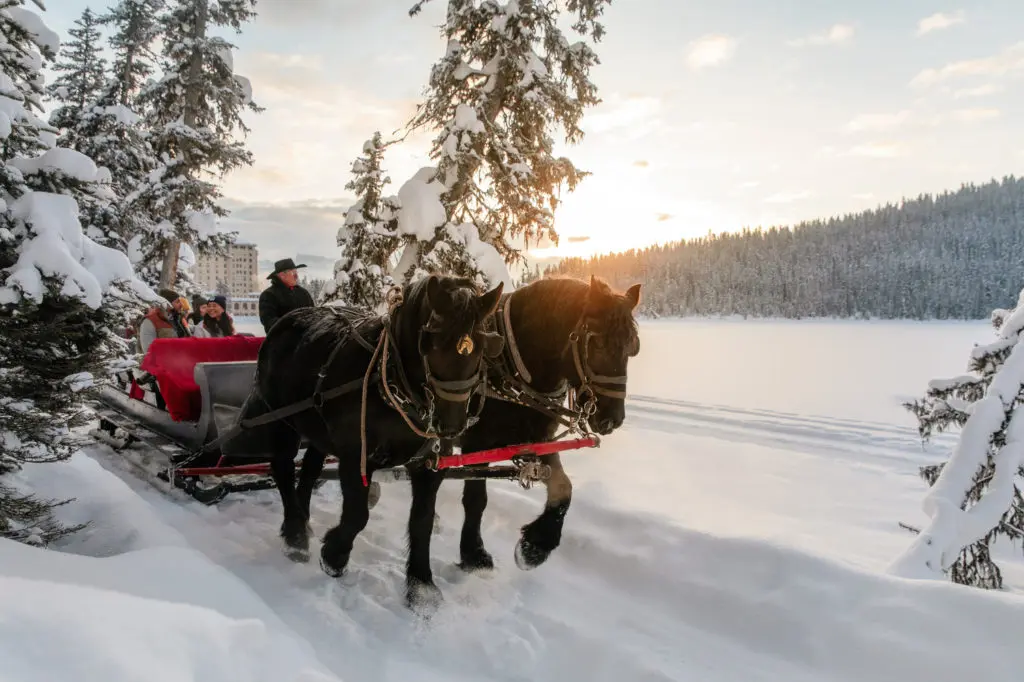 Sleigh ride at Fairmont Chateau Lake Louise