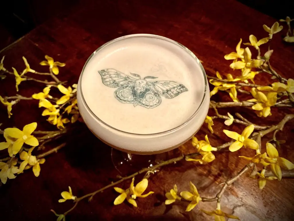 Meddlesome Moth Thanksgiving