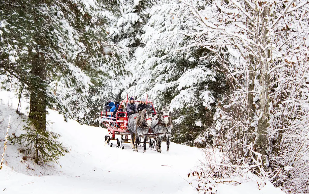 Western Pleasure Guest Ranch offers horse drawn sleigh rides.