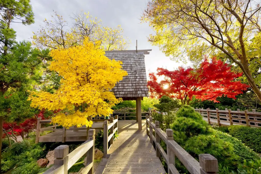 The Japanese Garden is a particular treasure inside the larger Fort Worth Botanical Garden.