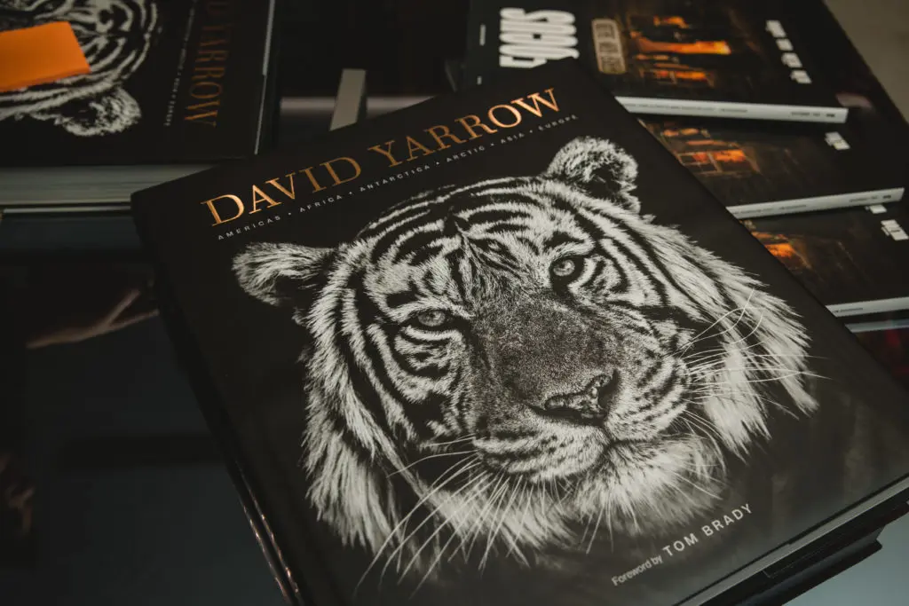 The artist's Rizzoli volume  (Photo by Johnny Than )