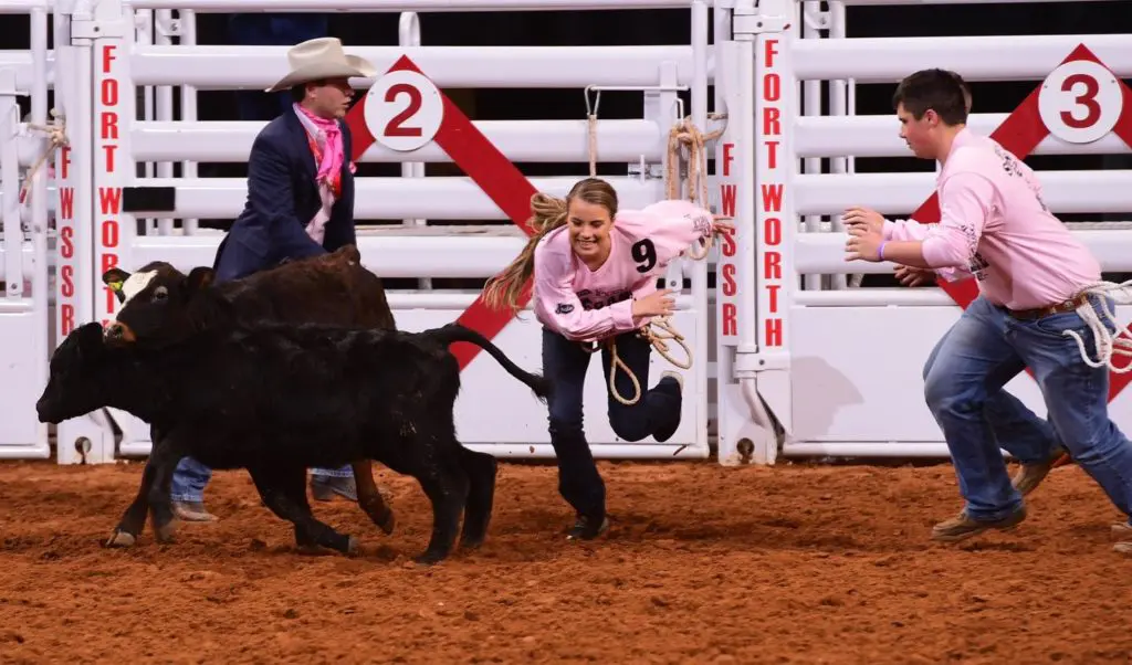 The Calf Scramble gives local FFA students the chance to raise their own live stock.