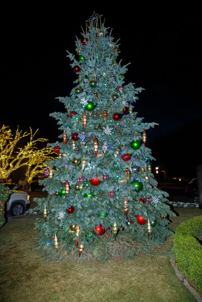 A beautifully decorated tree to put strollers in the holiday mood (Photo by WJN Photo)