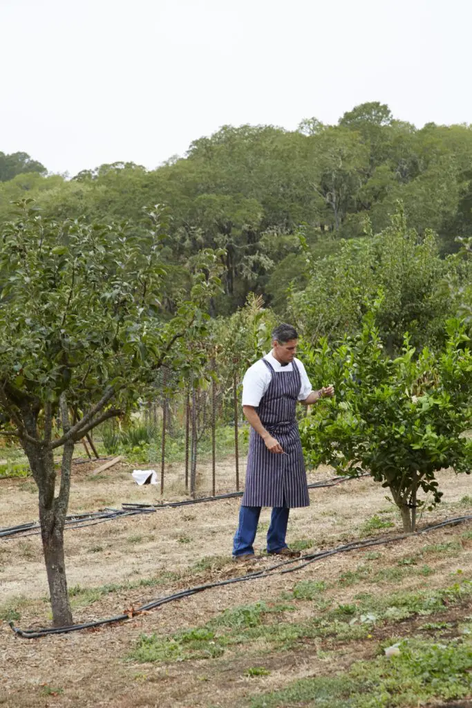 In Healdsburg, food and wine are revered.