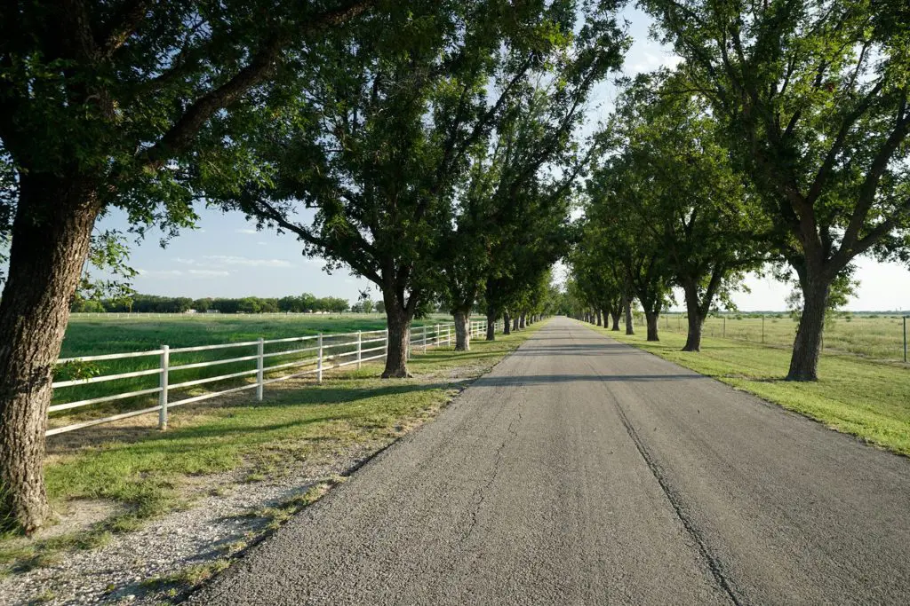 Live oaks welcome arrivals to Crawford Ranch in South Texas, on the market with Hall and Hall for $13.5 million.