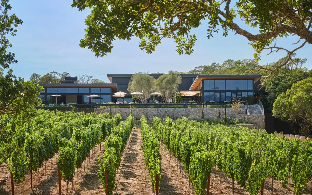 More than 15 acres of planted vineyards serve as the heart of the Montage Healdsburg resort.  (Photo by Christian Horan)