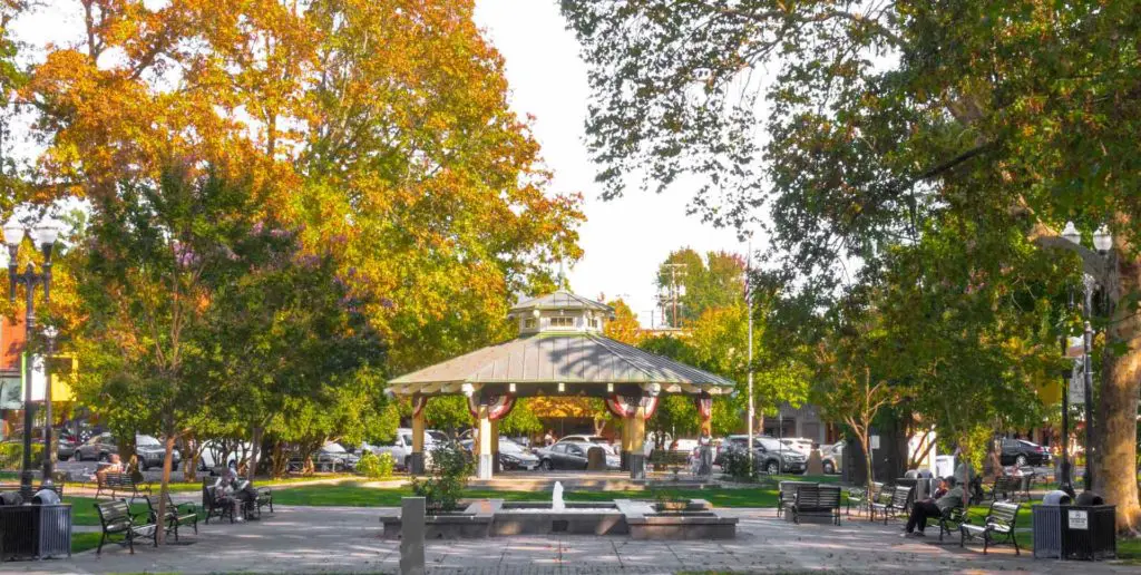The Healdsburg town plaza is a charming place where you can find plenty of wine and great food nearby.