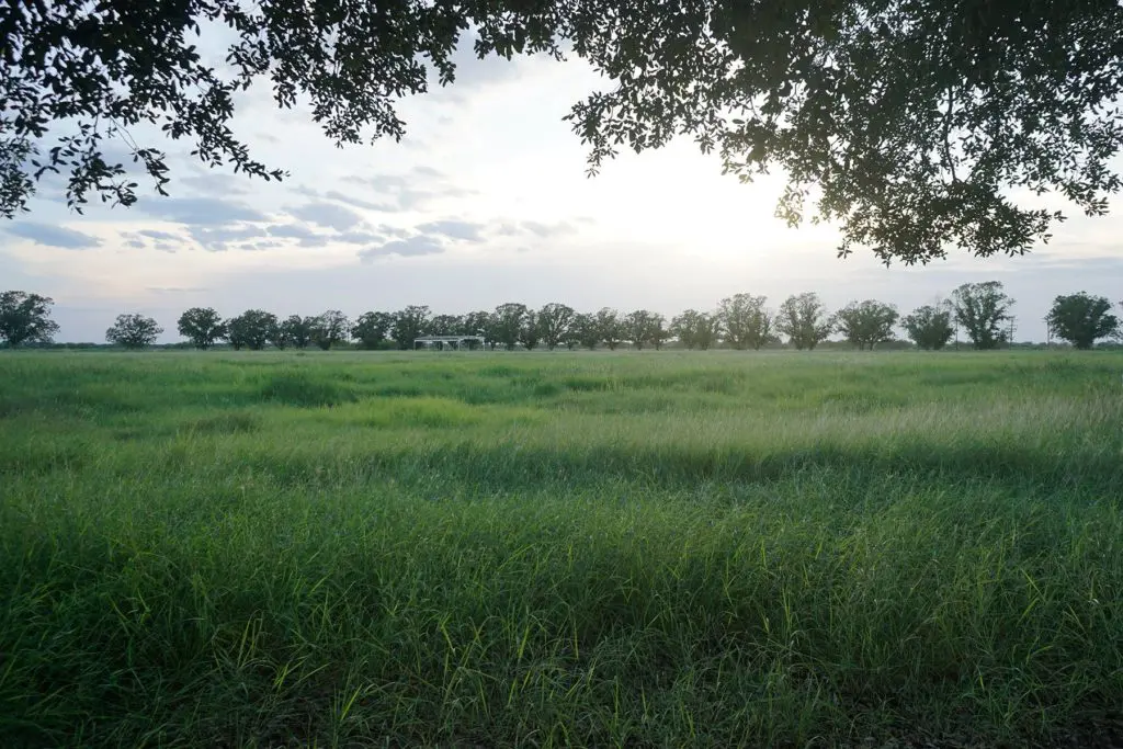 The beautiful setting of Crawford Ranch in South Texas.