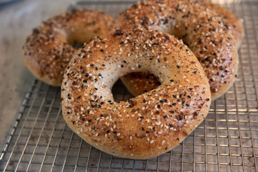 New York-style bagel and sandwich shop, Scalfani's, opens at Preston Center today.