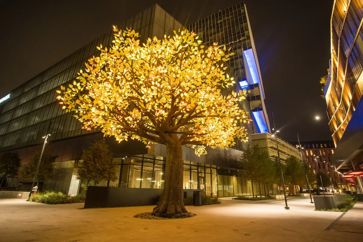 485 DRIFT Tree of Ténéré – Credit Chop Em Down 5