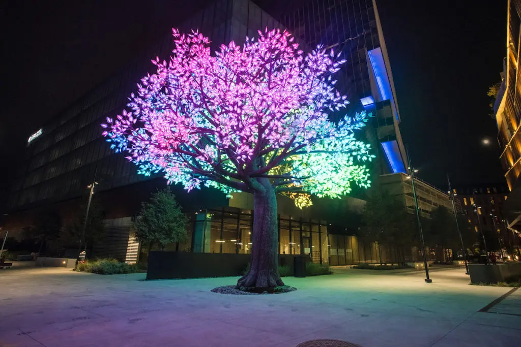 How Deep Ellum Became the Permanent Home for an Instagram Famous Tree