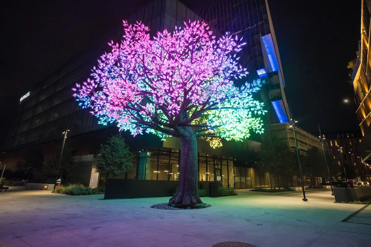 486 DRIFT Tree of Ténéré – Credit Chop Em Down 6 (Photo by Chop ’Em Down Films)