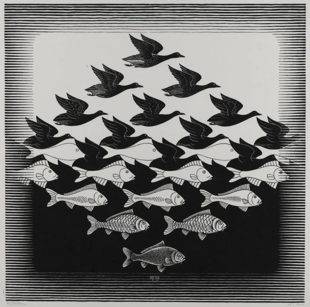 Sky and Water is one Escher's most celebrated works, weaving in the motif of metamorphosis. In this woodcut, birds and fish are seemingly transformed into air and water through metamorphosis.
