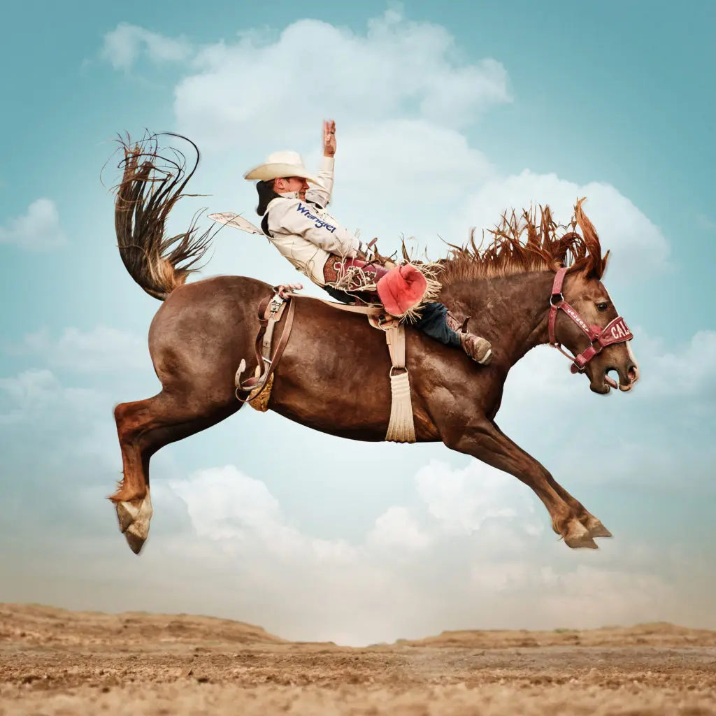 Steve Wrubel's "Feather River" photograph paints a picture of horse riding against a colorful landscape.