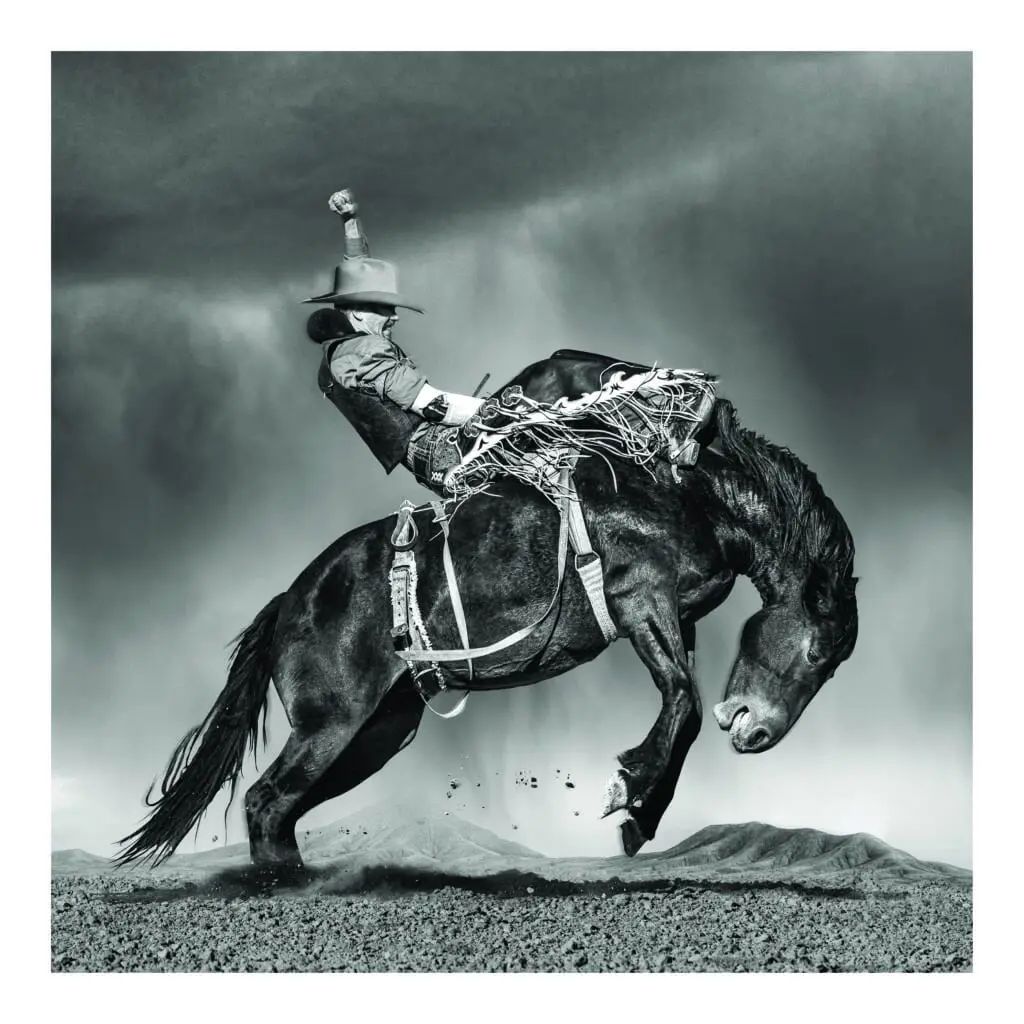 Steve Wrubel's "Larsen" photograph showcases the the beautiful dance that until now has remained hidden in the raucous nature of the sport.
