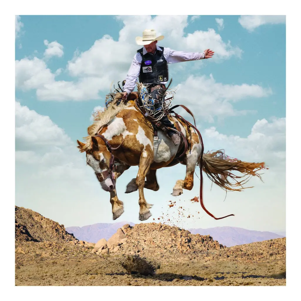 Steve Wrubel's "Mojave" photograph juxtaposes the thrill of the ride against a sunny, mountainous landscape.