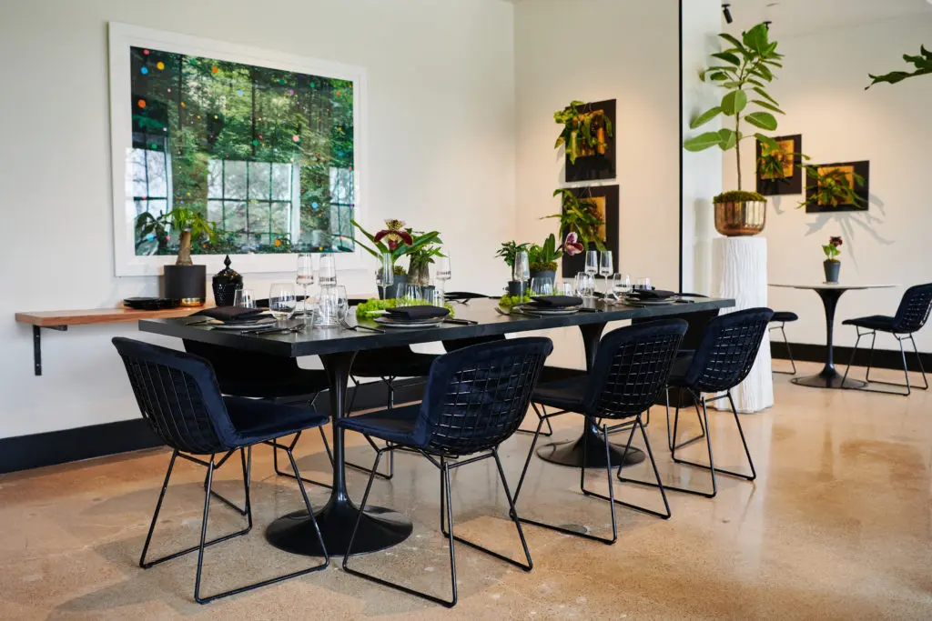 Teak Tearoom (Photo by Jonathan Zizzo)