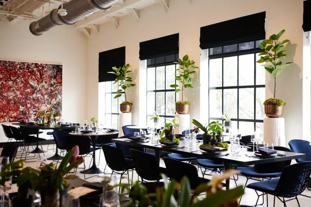 The Teak Tearoom (Photo by Jonathan Zizzo)