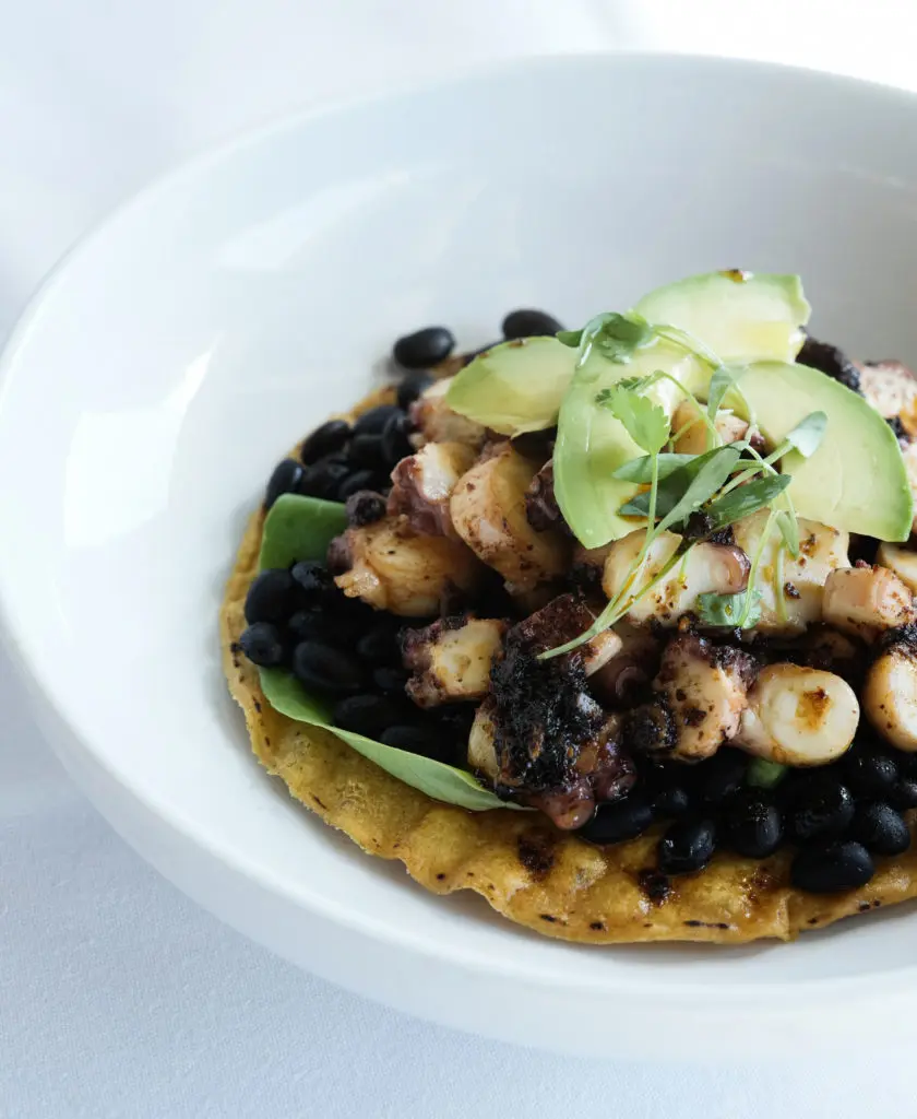 Pictured: The dish Pulpo Tostada made with butter lettuce, black beans, red onion, salsa macha, cilantro, and lime. (Photo by Jack Thompson)