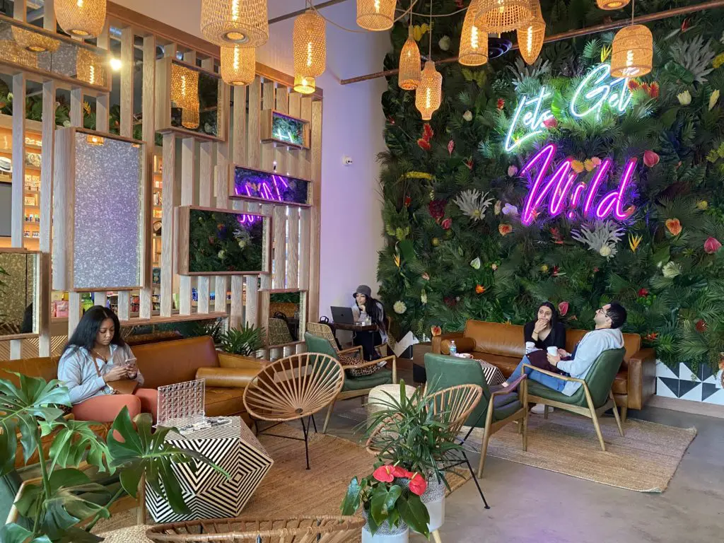 The Wild coffee house, CBD and liquor lounge hits the high notes in The Heights. 