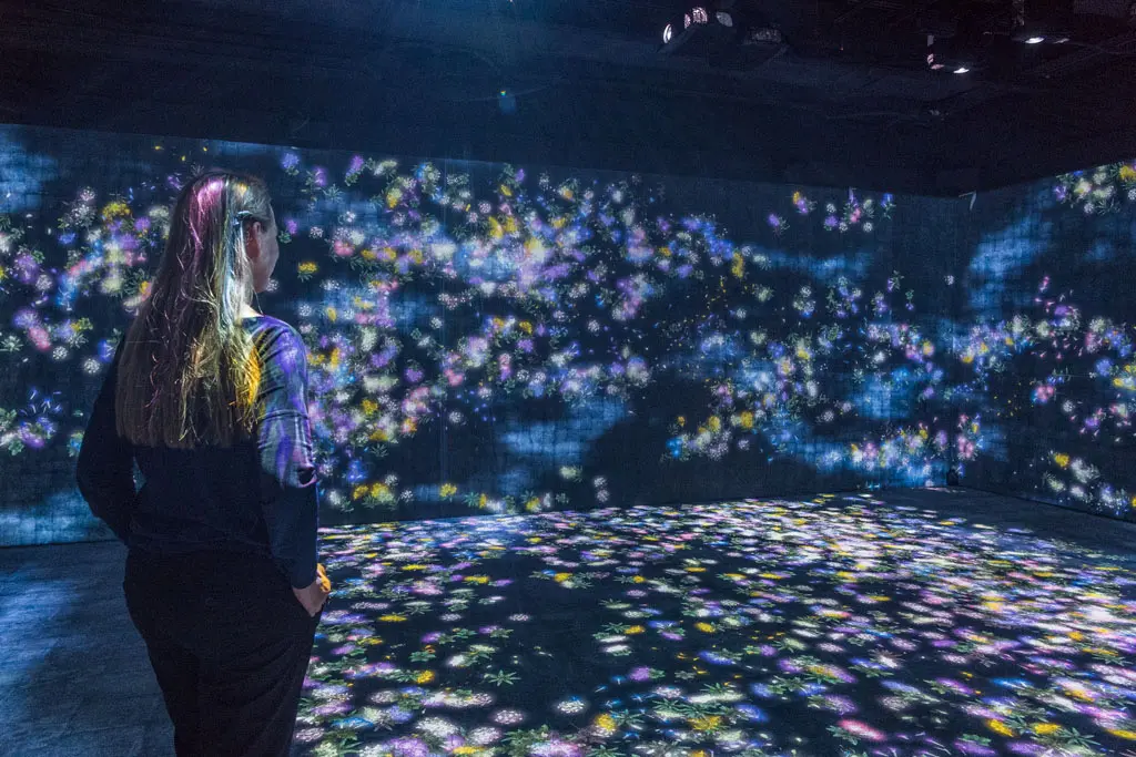 Teamlab’s “Flowers and People Cannot be Controlled but Live Together – A Whole Year per Hour,” Spring 2017. (photo by Nash Baker)