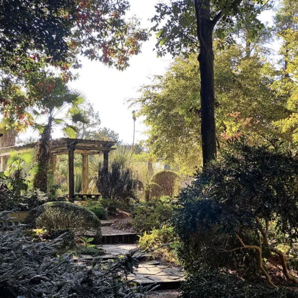 The John Fairey Garden