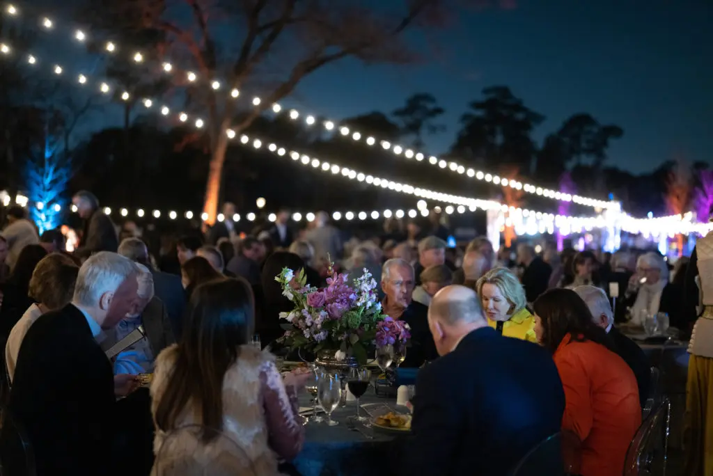 The stars twinkled for this Memorial Park Conservatory fundraiser.
