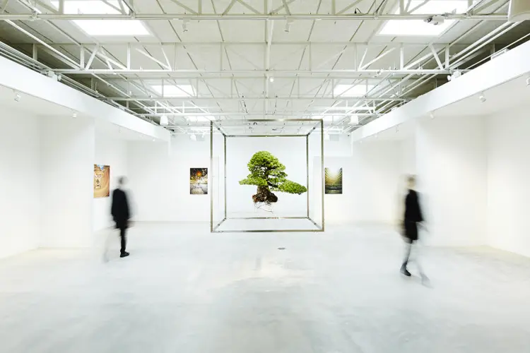 Azuma Makoto’s Giant Bonsai