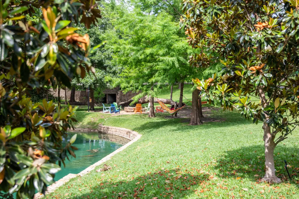 Greenery at The Village in Dallas, Texas. 