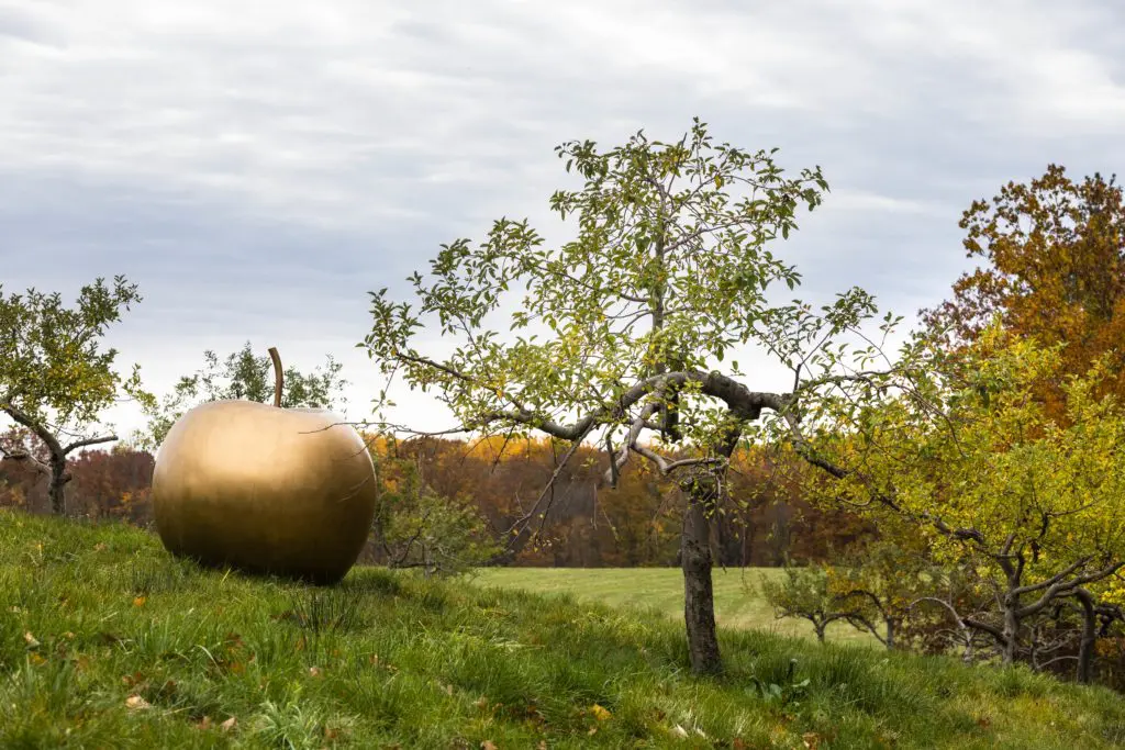 Claude Lalanne’s great bronze apple, "Pomme d’Hiver," appears to have been plunked down on the shoulder of the drive leading up to the house. 