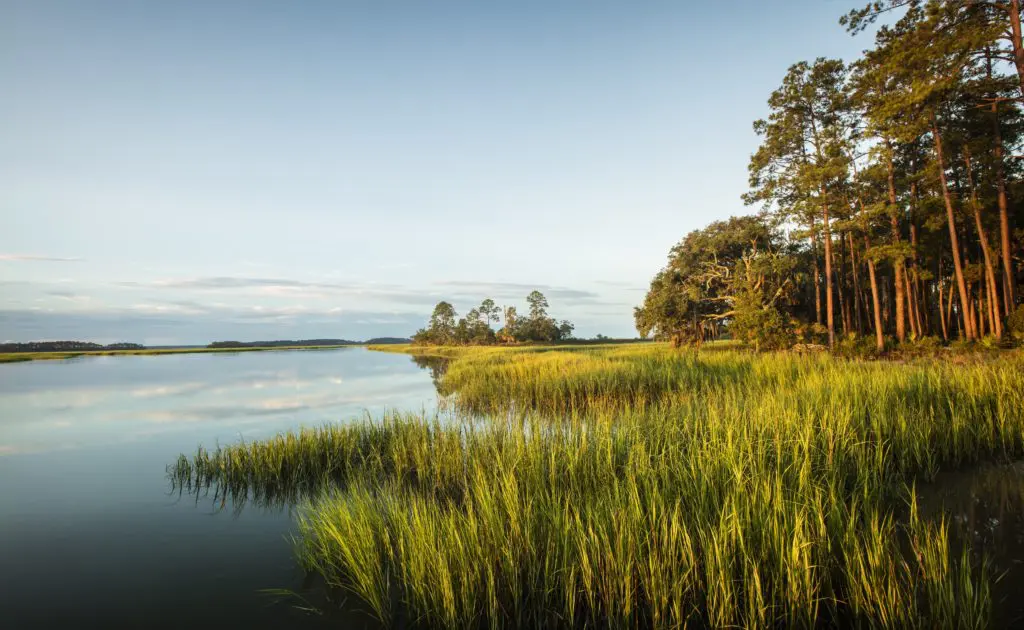 Palmetto Bluff is a lowcountry southern retreat set in a 20,000 acre nature preserve.