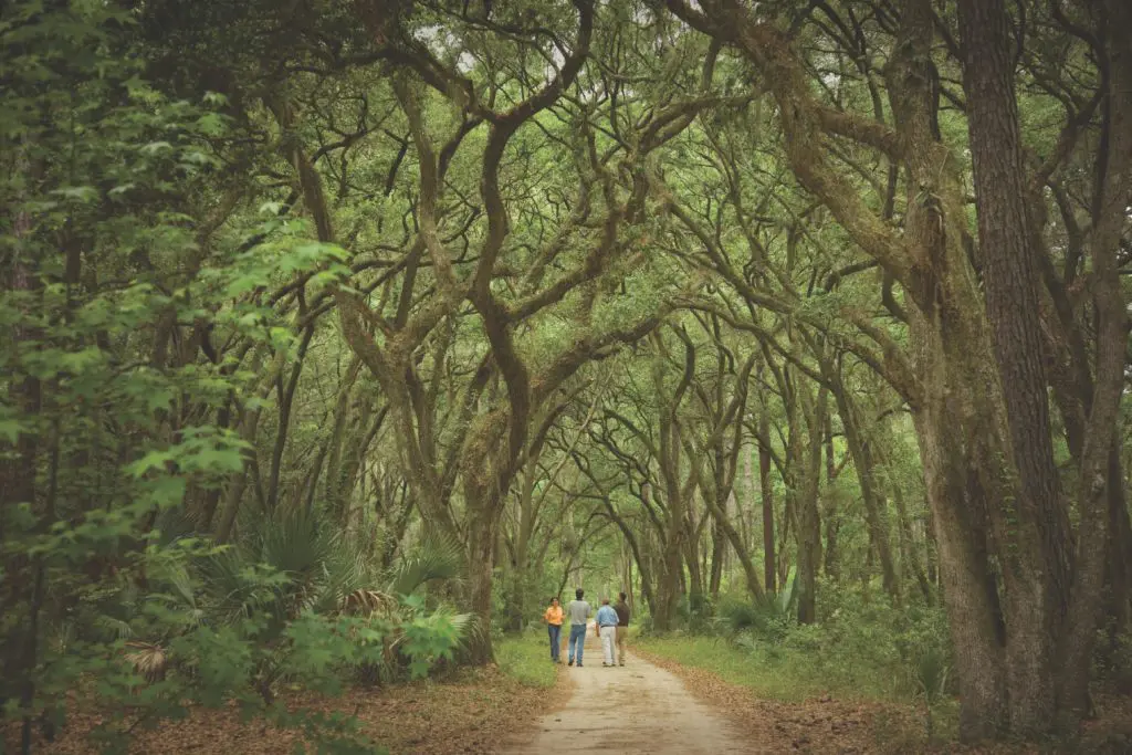 South Street Partners has taken ownership Palmetto Bluff, the 20,000-acre property surrounded by 32 miles of riverfront in South Carolina's Lowcountry.