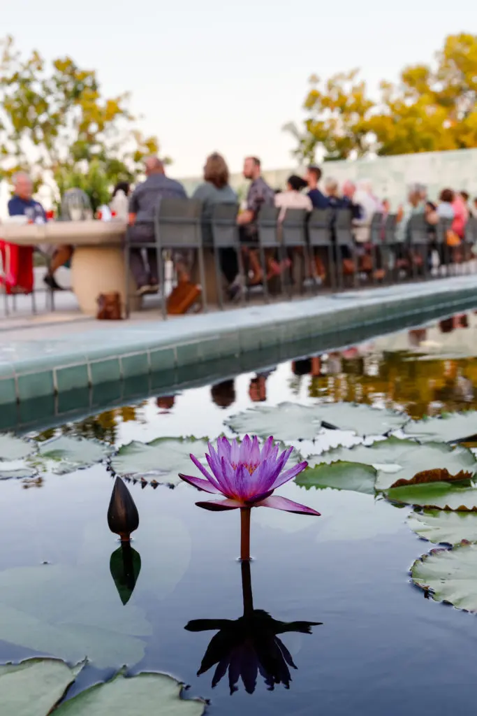 The table was surrounded by beautiful botanical scenery at the Summer Soulstice Dinner. (Photo by Liz Silva)