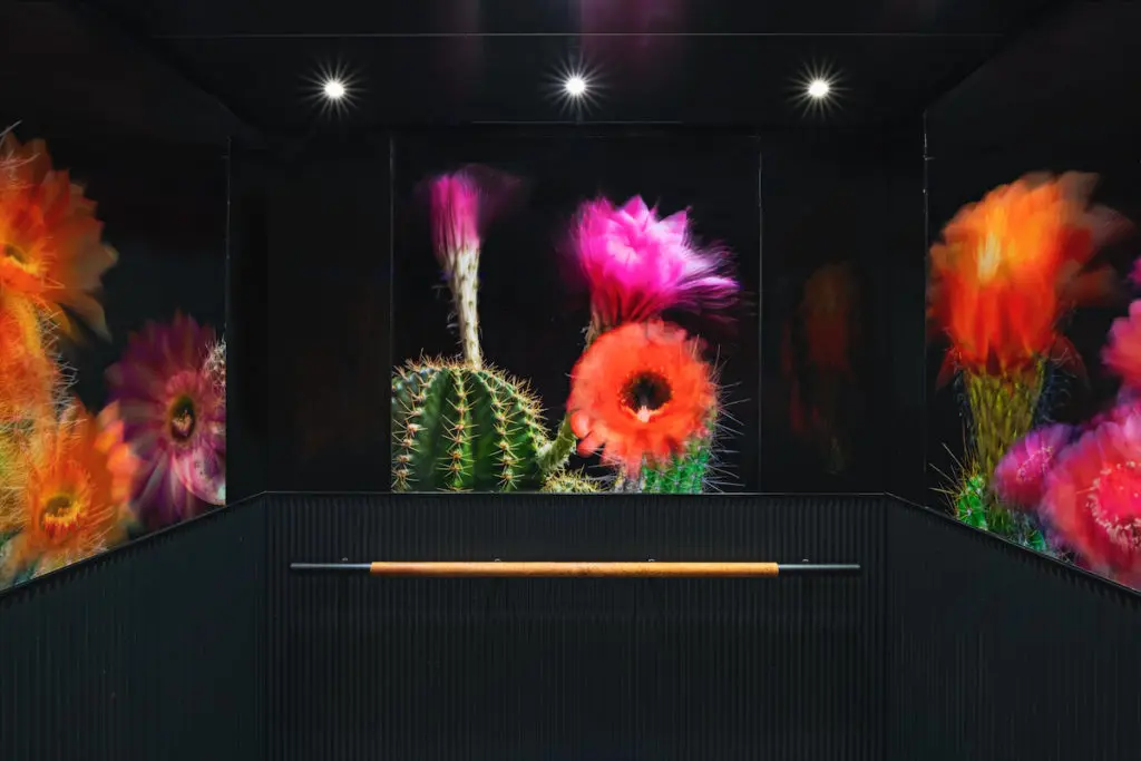 The Thompson Austin's public spaces are filled with art — even in the elevators. (Photo by Al Argueta)