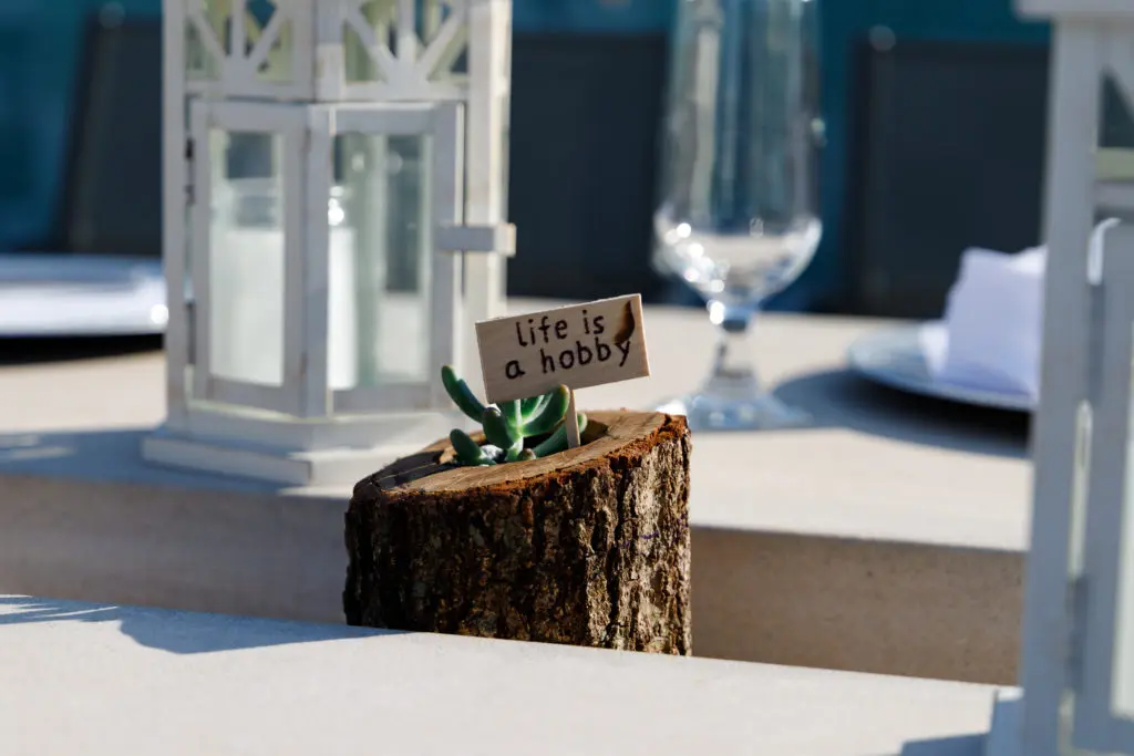 Succulents by Life is a Hobby provided living table decor at the Summer Soulstice Dinner. (Photo by Liz Silva)
