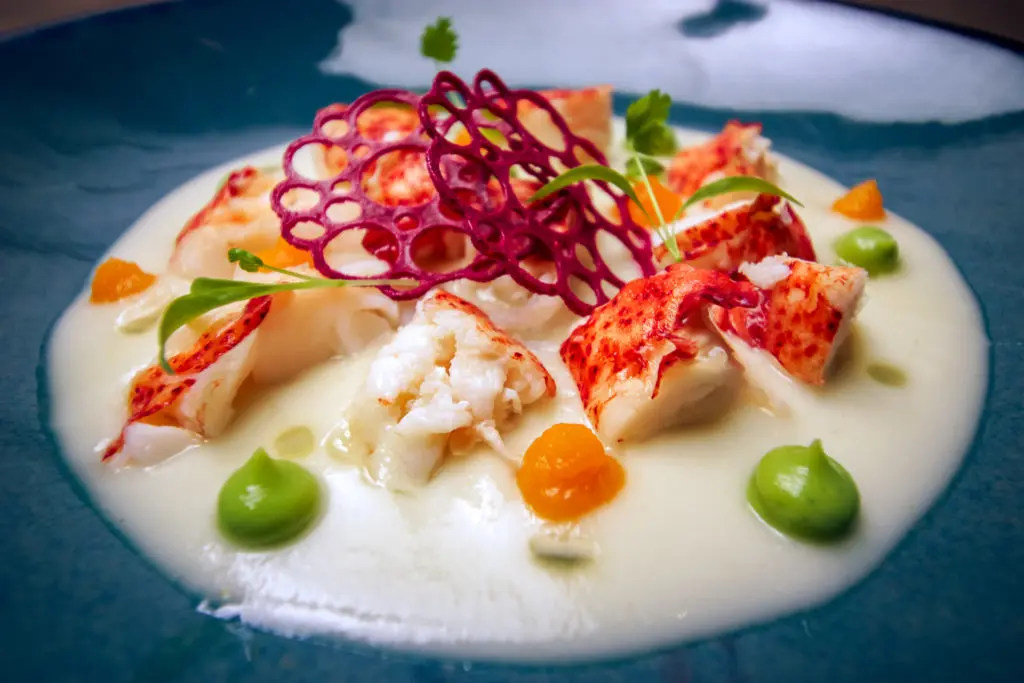 The poached lobster ceviche at Pacha Nikkei is set atop a sweet potato puree. (Photo by Marco Torres)