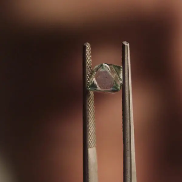 Integrated Article | Jewelry