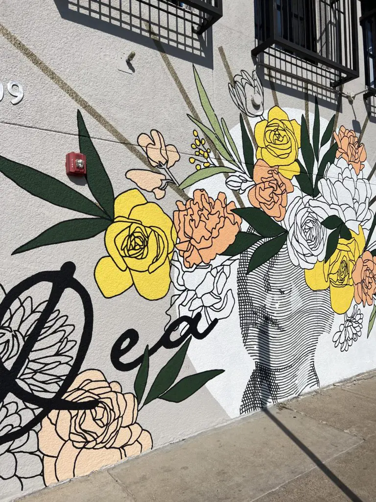 Local artist Alli K created this mural outside of Dea on Inwood Road. (Photo by Megan Ziots)