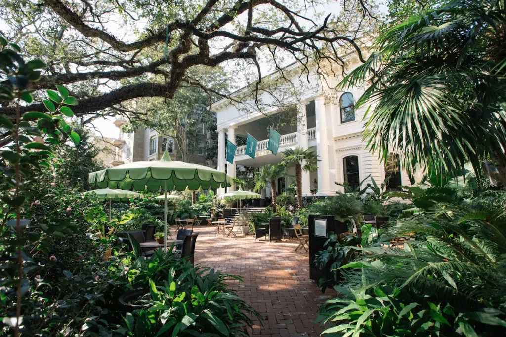 PaperCity Guides — New Orleans, Louisiana