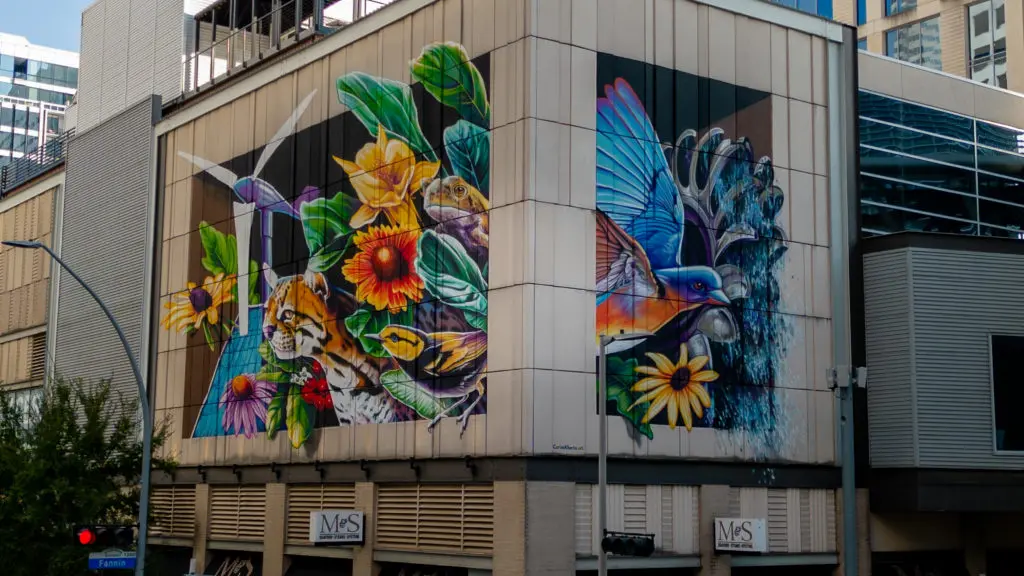 Carlo Alberto's completed mural, "Hope for a Greener Future" (Photo by @superkant and @cyvisuals_, courtesy Street Art for Mankind)