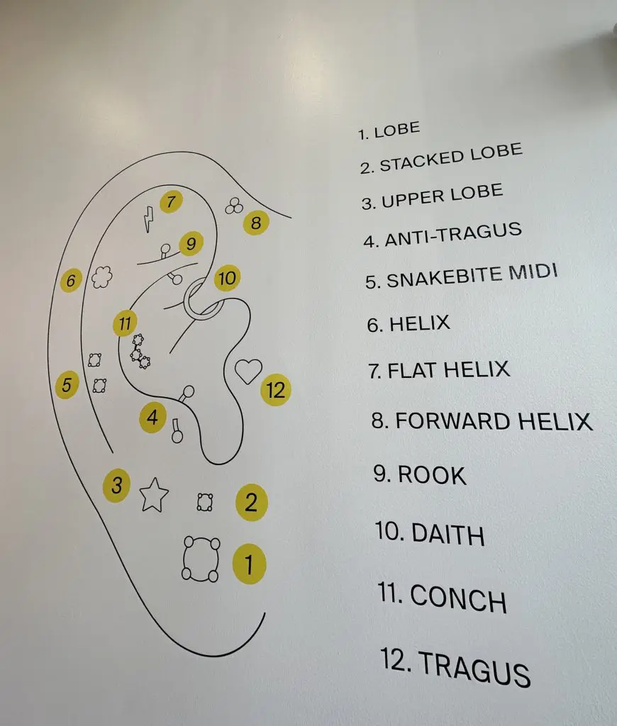 Choose from 12 different piercing spots.