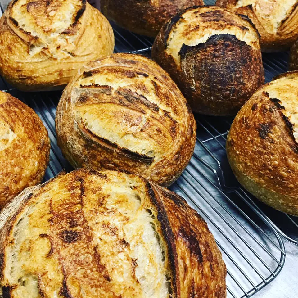 Crusty sourdough is on the rise in downtown Fort Worth, courtesy of Trent Shaskan's Icon Bread.