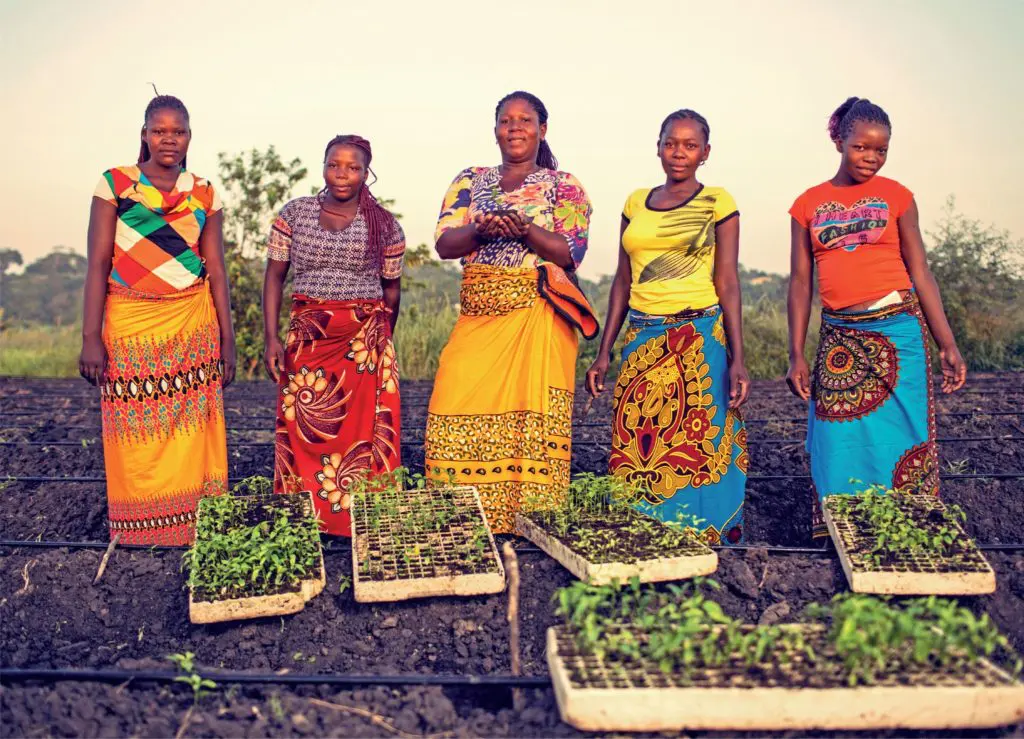 Farmers in Mozambique who plant and harvest the famed peri-peri plants for Nando's.  (Photo by Ricardo Franco)