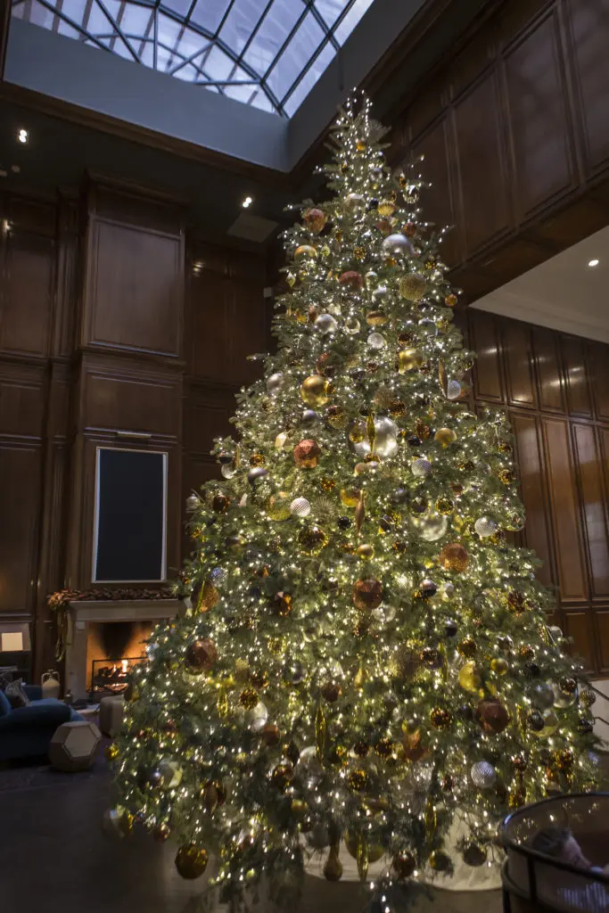 The Adolphus Hotel is one of Dallas’ most special hotels. 