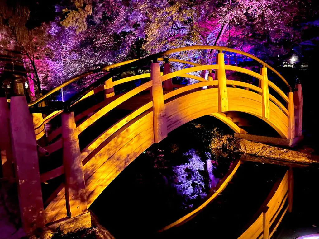 The Japanese Garden's new arched bridge reflects in the water at Lightscape. (Photo by Courtney Dabney)