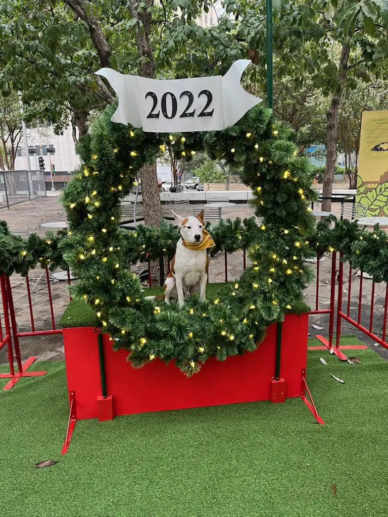 Visit Main Street Garden, it's the perfect place for your holiday Christmas card. 