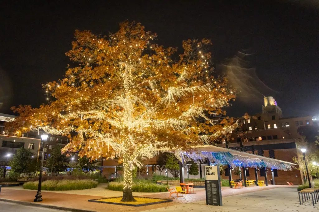 Charming lighting displays, window painting and beautiful decor illuminate the Dallas West End, creating a warm and welcoming place for residents and visitors to enjoy.